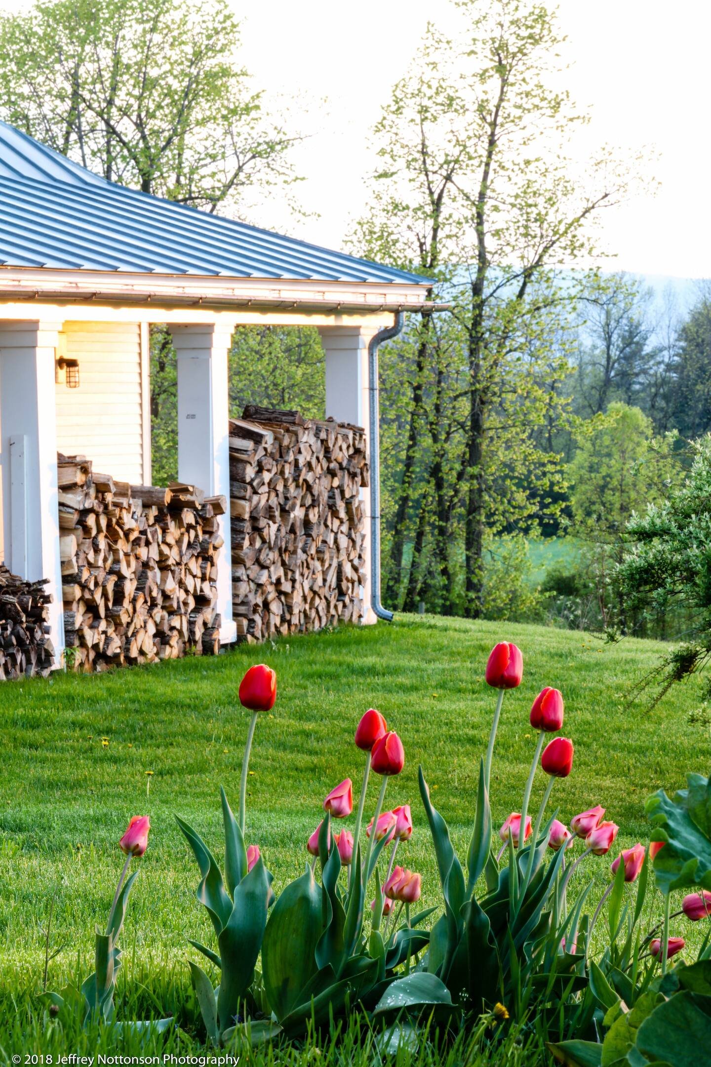 Red tulips blooming in front of the guest house porch and neatly stacked firewood.